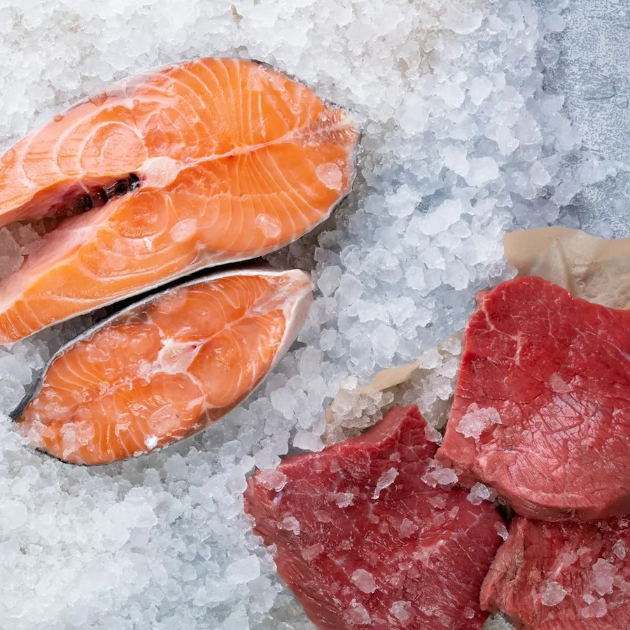 Salmon fillets (2)