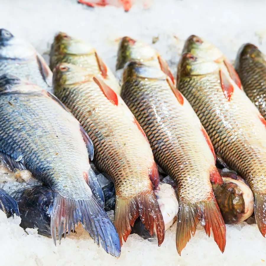 Tidewrack Fish Co. logo